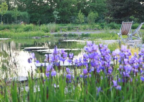 Ellicar gardens