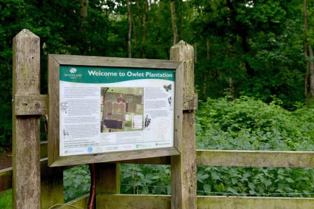 Owlet Plantation Nature Reserve, Blyton