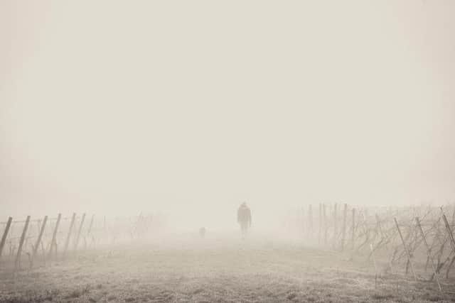 The Met Office has issued a yellow warning for fog.