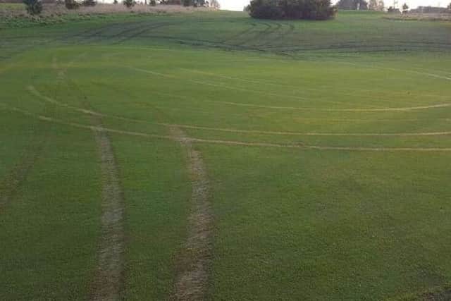 This picture shows some of the damage.
