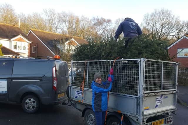 A couple of volunteers busy at work collecting the Christmas trees.