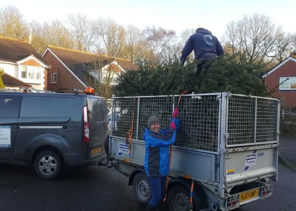 A couple of volunteers busy at work collecting the Christmas trees.