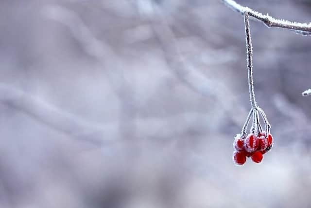 Snow could fall this evening...