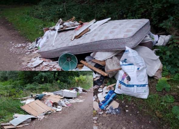 A picture of some of the household waste dumped in Worksop.