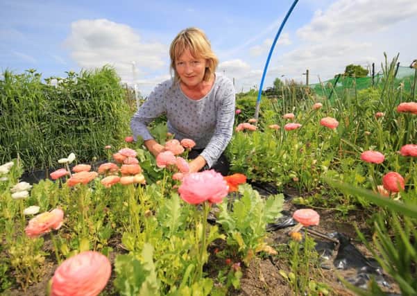 Linda Clark is heading to Chelsea Flower Show and her flowers will form part of the display produced by members of Flowers from the Farm who are making their debut at Chelsea this year in the Great Pavilion.