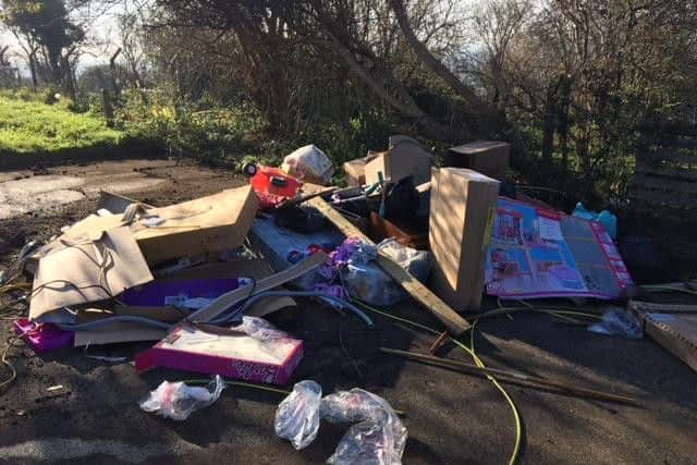 The fly-tipping.