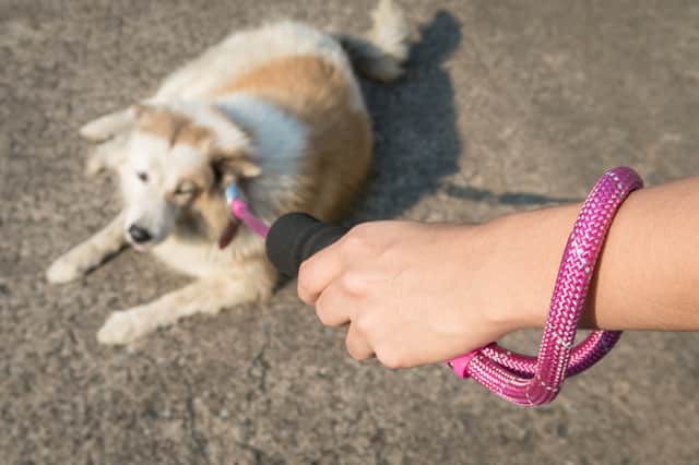 Wrapping a dog leash around your wrist could lead to serious injuries (Photo: Shutterstock)