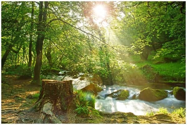 Wednesday saw warm temperatures sweep across the UK, with some parts of Britain experiencing the hottest day of the year (Photo: Shutterstock)