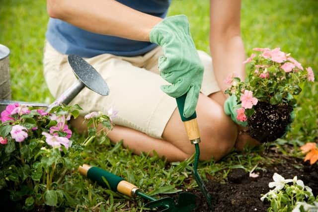 Now is the ideal time for planting new additions to your garden. (Picture: Shutterstock)