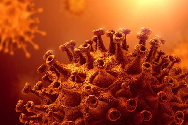 Kent Covid variant predicted to become the world’s most dominant strain (Photo: Shutterstock)