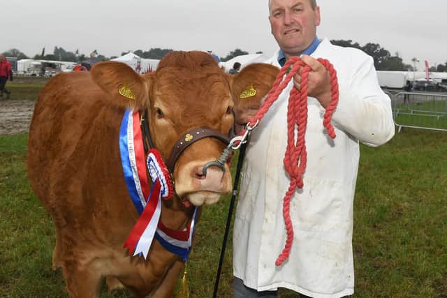 Heckington Show. Paul Barwood of Great Yarmouth with his Champion Continental and Interbreed Champion