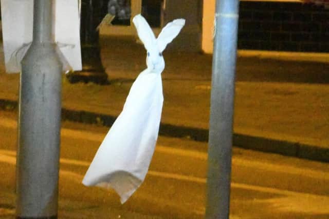 Spooky. The Ghost Hare at Handley Monument. EMN-171130-140504001