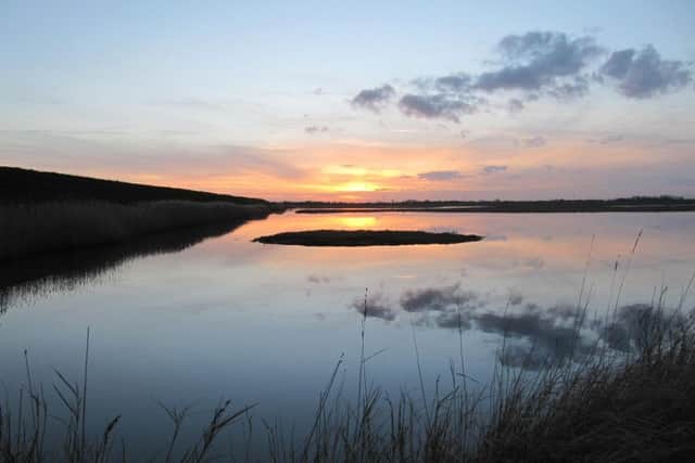 Scenes from RSPB Frampton Marsh, near Boston.