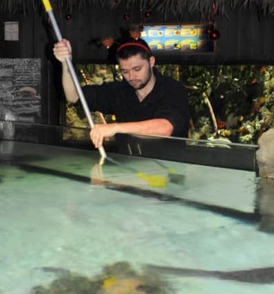 Joseph Elsdon-Bird (Aquarist) cleaning out a tank at Skegness Aquarium ahead of his Christmas Day duties. ANL-170812-164220001
