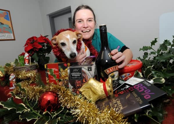 Dr Wendy Adams with her terrier Pip, surrounded by food and drink pet owners should be weary of around animals. EMN-171214-093719001