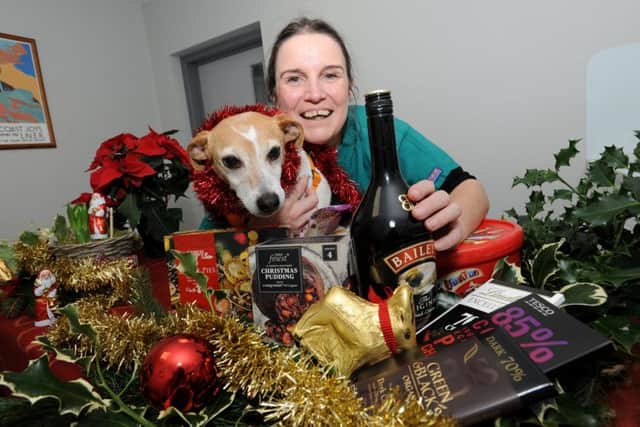 Dr Wendy Adams with her terrier Pip, surrounded by food and drink pet owners should be weary of around animals. EMN-171214-093719001