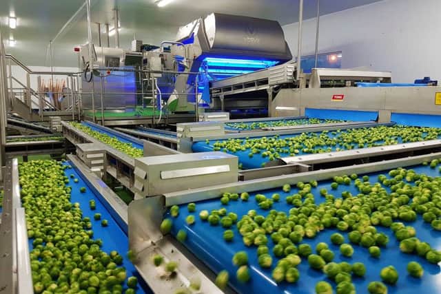 T.H. Clements near Boston has invested £1.5m into a new piece of kit.