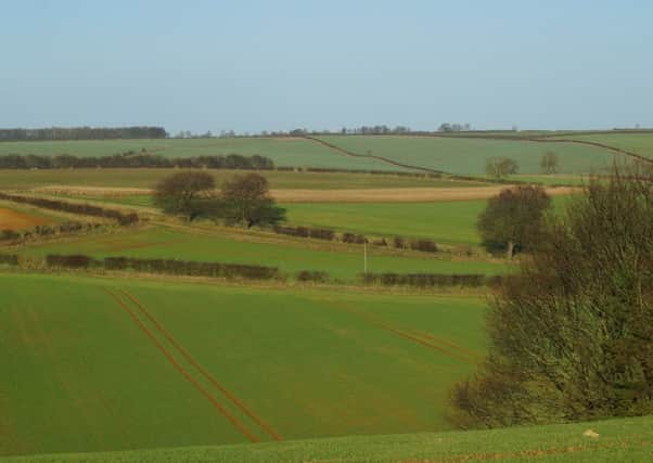 Help shape and preserve the special landscape of the Wolds