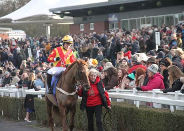 A packed parade ring inspects Michael Chapman's runner, The Society Man EMN-171227-132509002