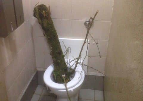 A vandalised toilet at Hubbards Hills.