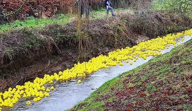 Middle Rasen duck race EMN-171231-193736001