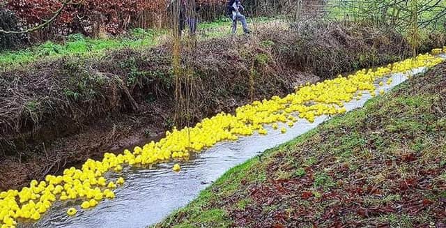 Middle Rasen duck race EMN-171231-193736001