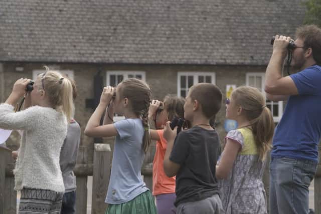 Last year, 73,000 children and teachers took part counting more than 100,000 birds. Photo: RSPB (rspb-images.com) EMN-180401-123026001