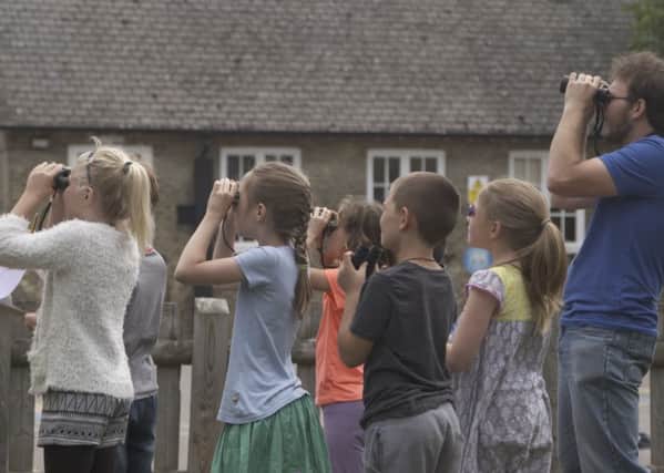 Last year, 73,000 children and teachers took part counting more than 100,000 birds. Photo: RSPB (rspb-images.com) EMN-180401-123026001
