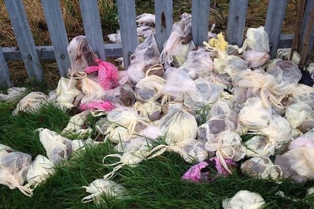 The pile of dog waste bags in Scarborough Road, Louth.