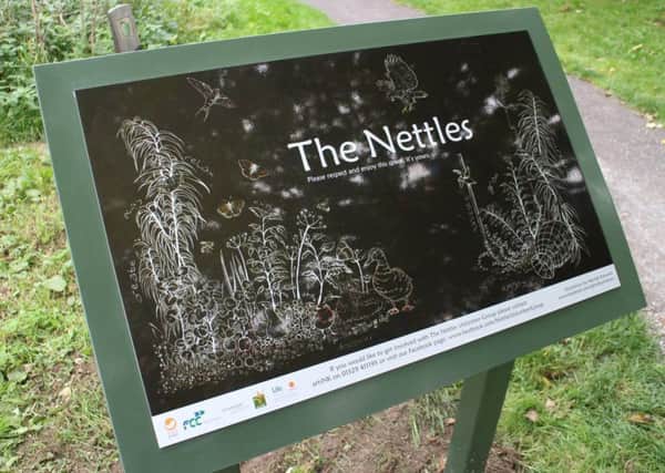 The Nettles. EMN-181201-172047001