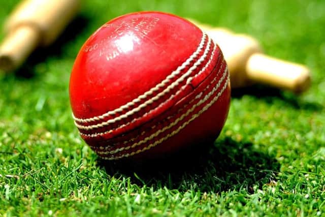 Cricket