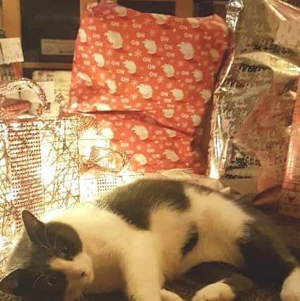 Coby pictured during happier times over Christmas.