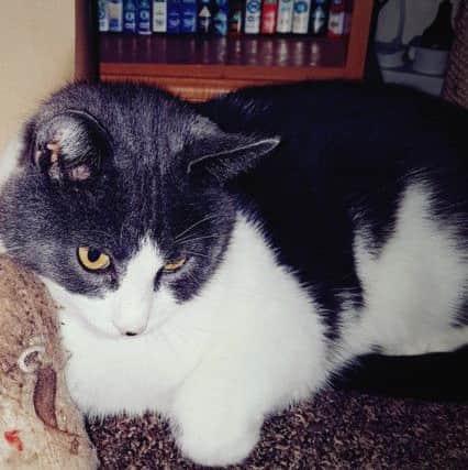 Coby pictured at home before the shooting incident.