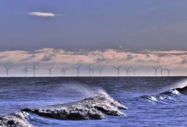 Photo of the Week. Credit: Suzi Davey.