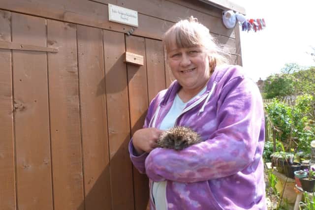 Laurie Fox runs Caistor Hedgehog Care