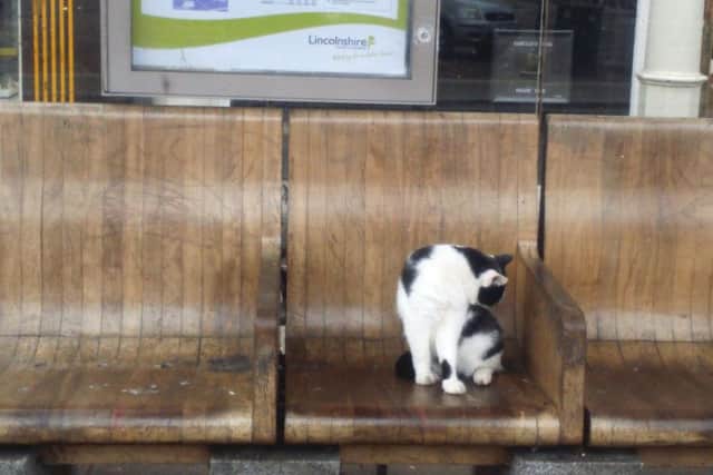 I'll have a wash while I am waiting.