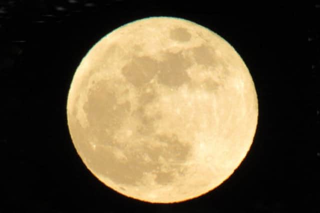 Spermoon by Kate Collins