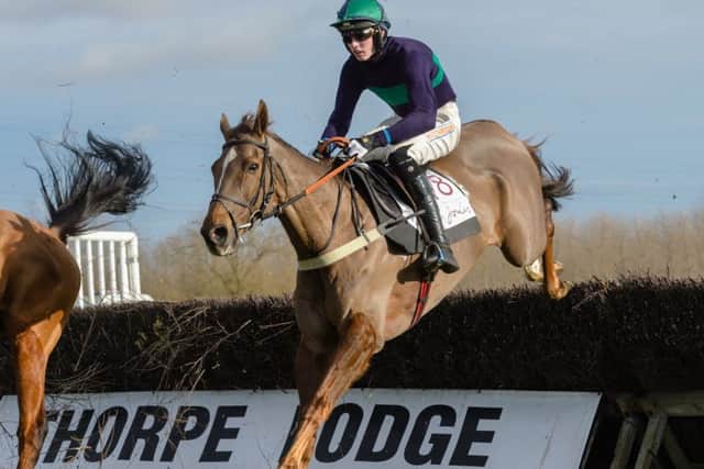 Volnay De Thaix impresses on his pointing debut at Thorpe Lodge last month EMN-181202-171036002