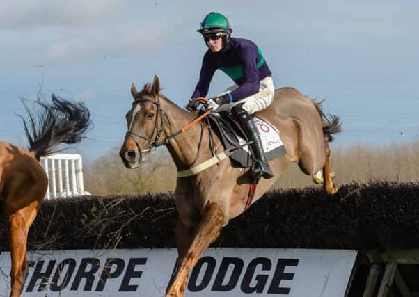 Volnay De Thaix impresses on his pointing debut at Thorpe Lodge last month EMN-181202-171036002