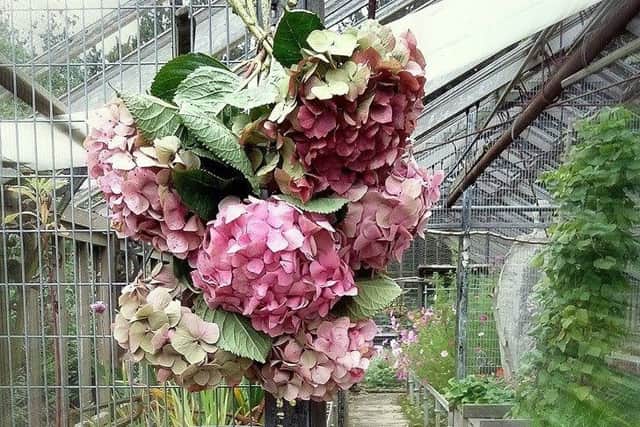 Flower show