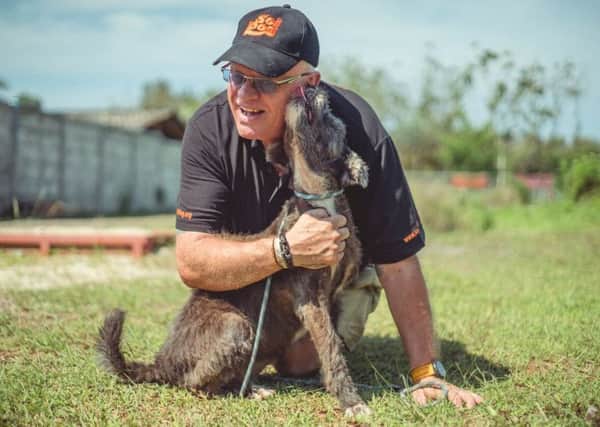 Phil Cantwell makes a new friend during his stint at the Soi Dog Foundation