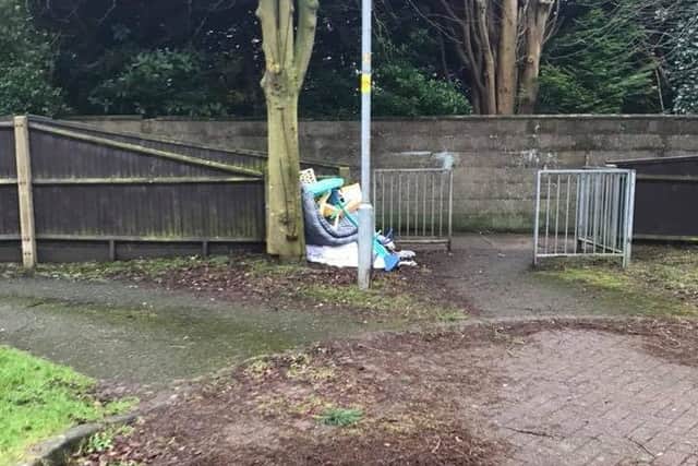 East Lindsey District Council would like to know who is responsible for this? ANL-180215-115617001
