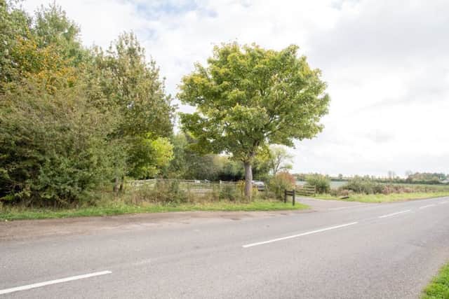 The site of the new cemetery where hopefully councillors wont discover any Great Crested Newts