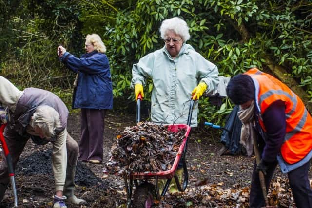 Volunteers help create a bog garden at Boston Cemetery. Photos supplied. EMN-180223-112329001