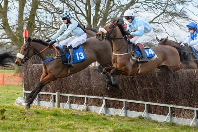 Tommie OBrien rides Port Of Mars (13) to victory in the closing race of the day at Brocklesby Park ? 2018 Nico Morgan. All Rights Reserved EMN-180222-121352002