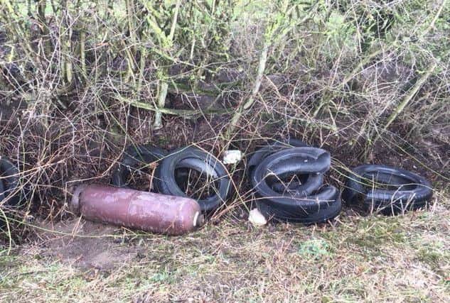 Some of the items left in a West Ashby dyke EMN-180226-145816001