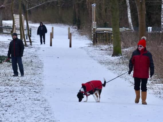 Dog walkers in the snow this morning