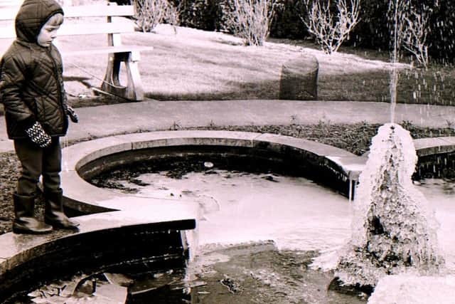 A puzzled youngster looks on at the frozen fountain in Monument Gardens in Sleaford back in February 1969. EMN-180203-141311001