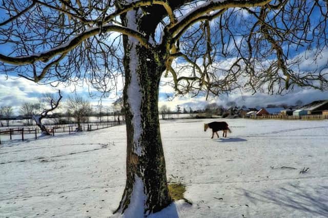 A snowy day in Leasingham by local man Ted Clark. EMN-180228-095108001