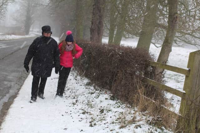 A snowy walk in the Louth area (Pic: Anna Mamwell). EMN-180103-114035001